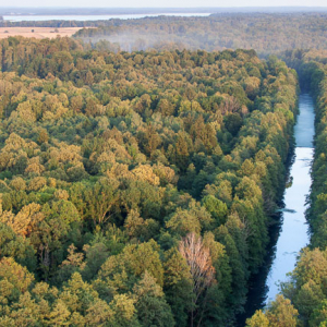 Kanal Mazurski na odcinku laczacym jezioro Rydzowka i Mamry. EU, PL, Warm-Maz. Lotnicze.